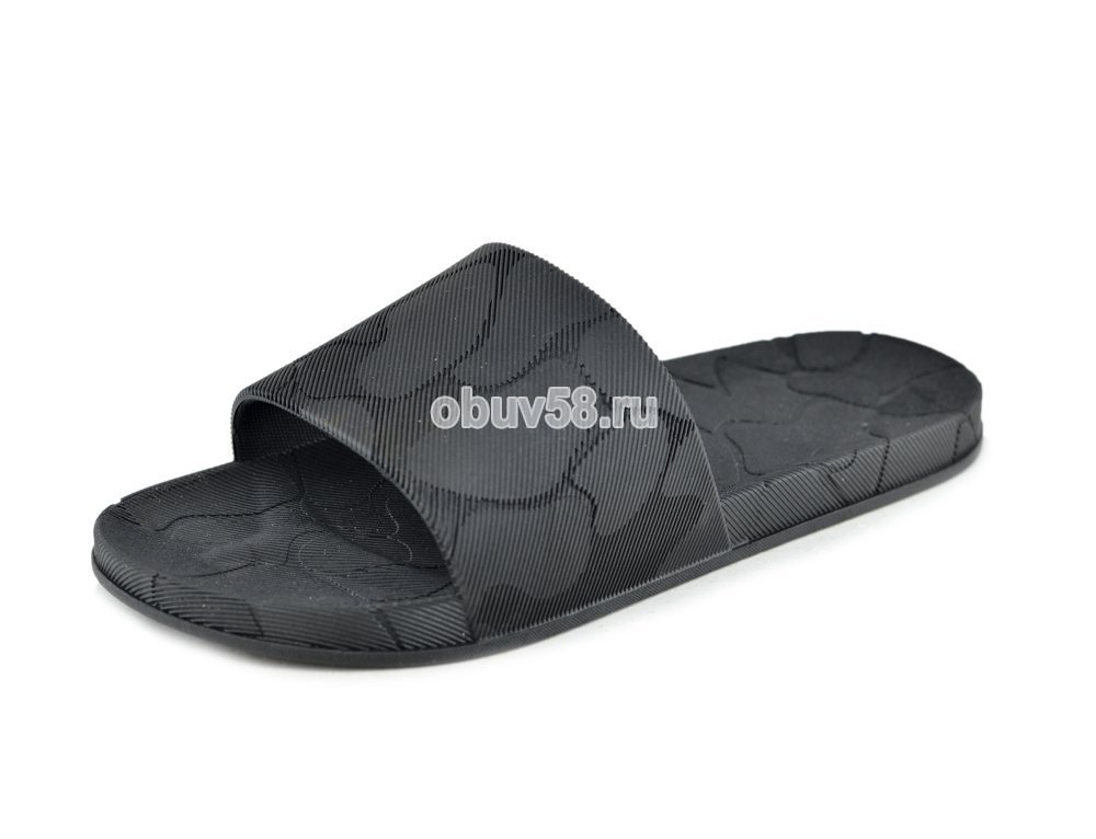 Сланцы