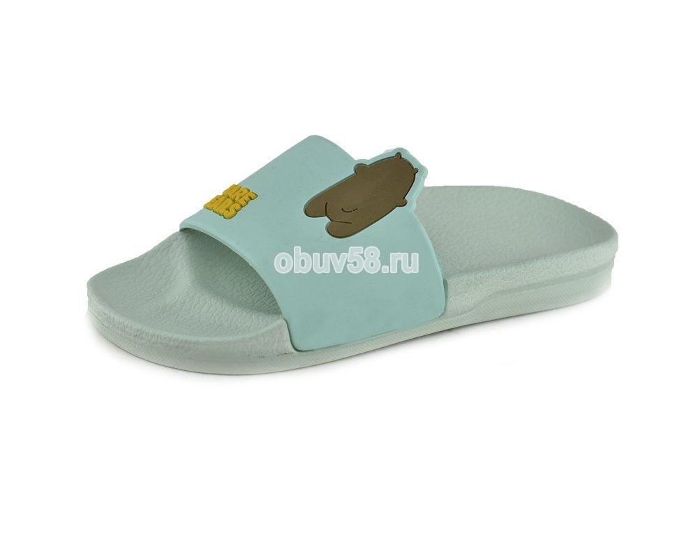 Сланцы