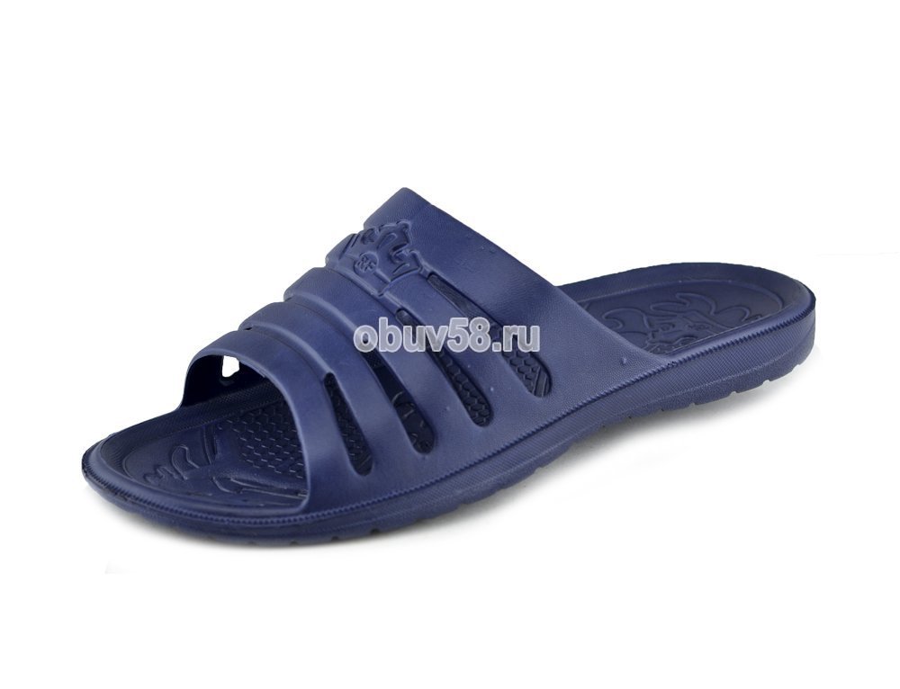 Сланцы