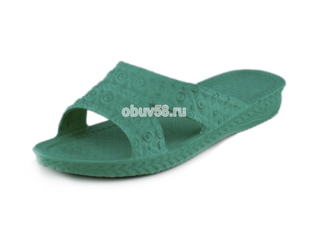 Сланцы