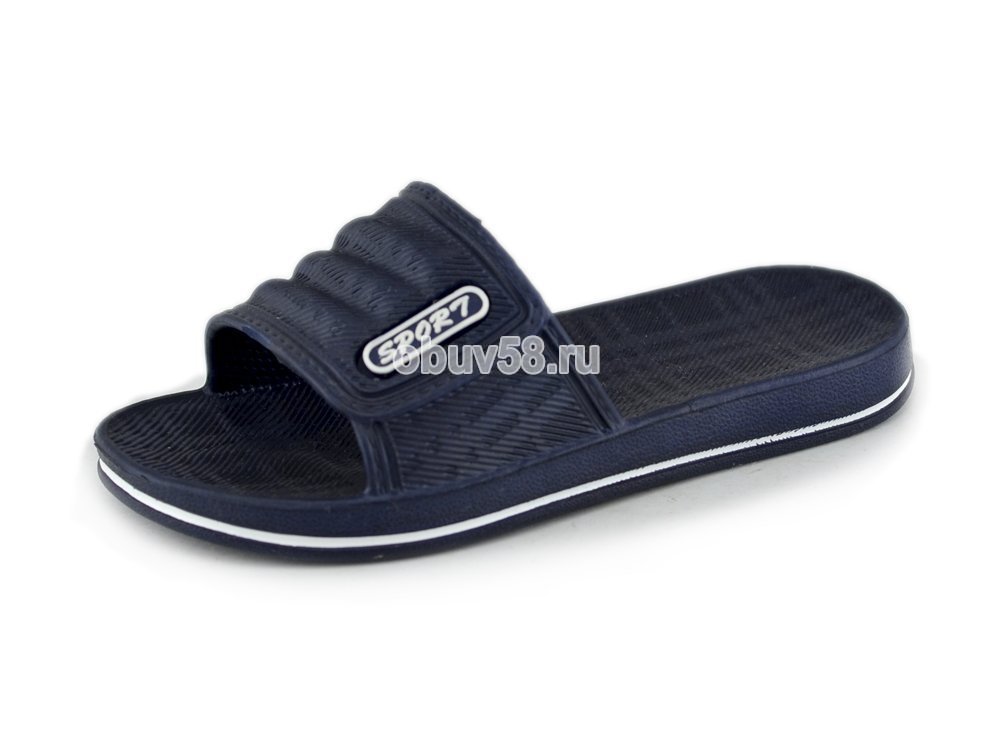 Сланцы