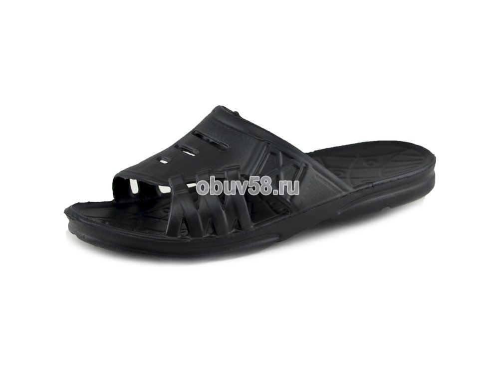 Сланцы