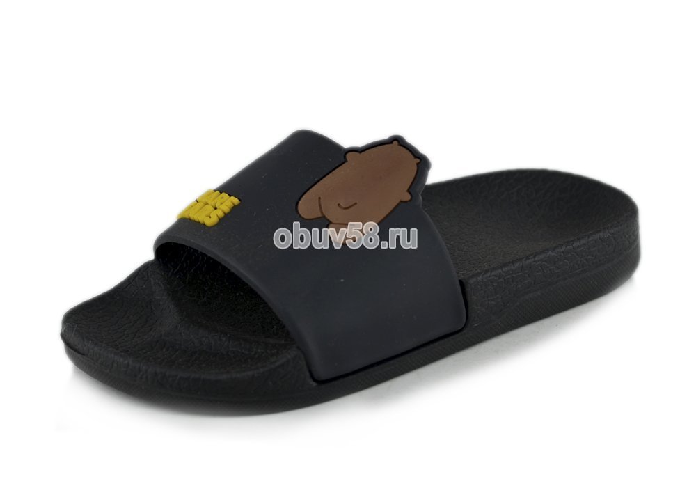 Сланцы