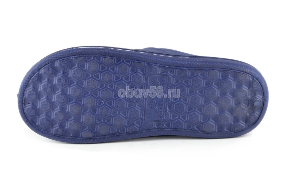 Сланцы