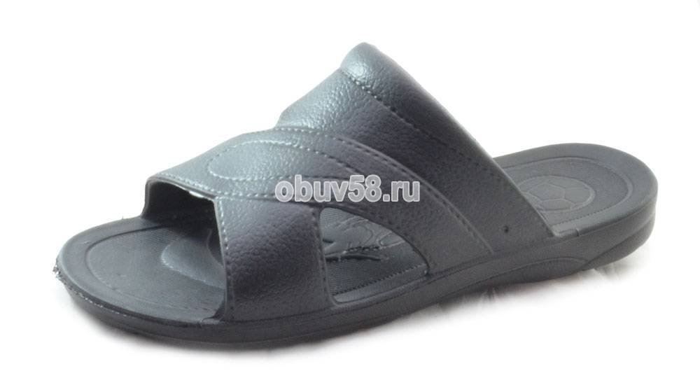 Сланцы