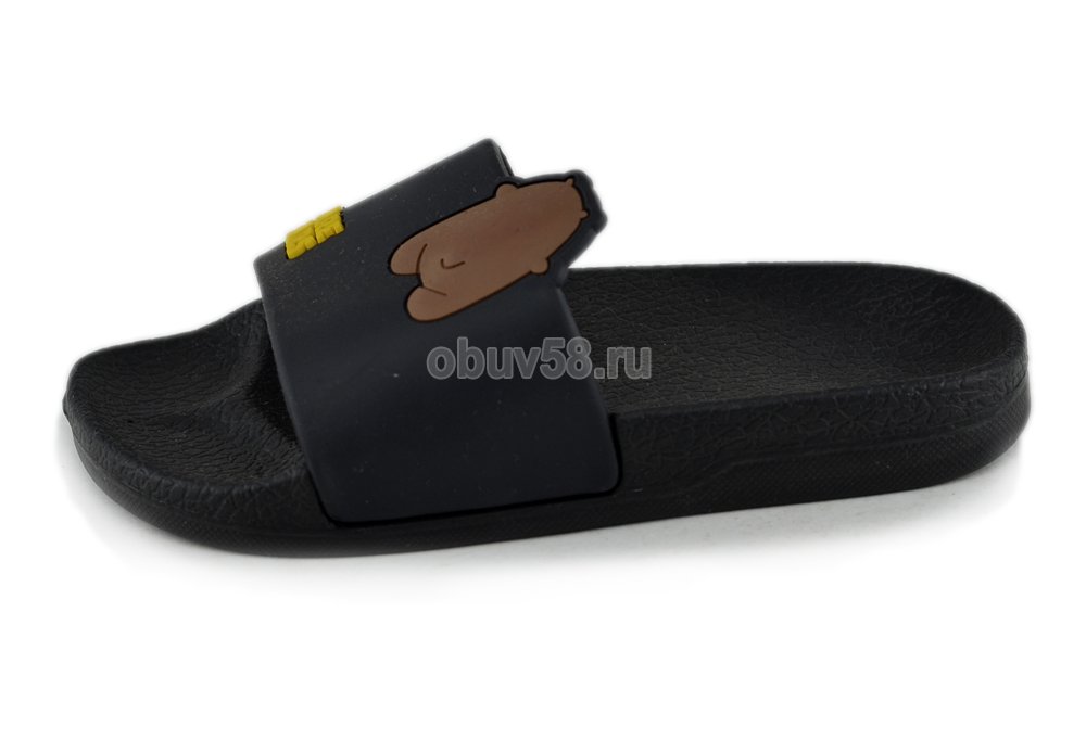 Сланцы