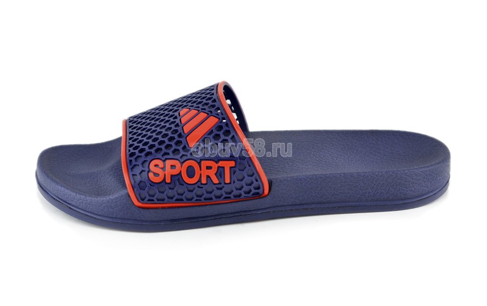 Сланцы