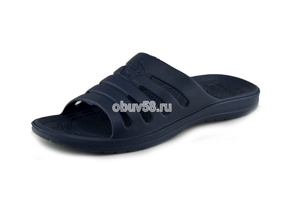 Сланцы
