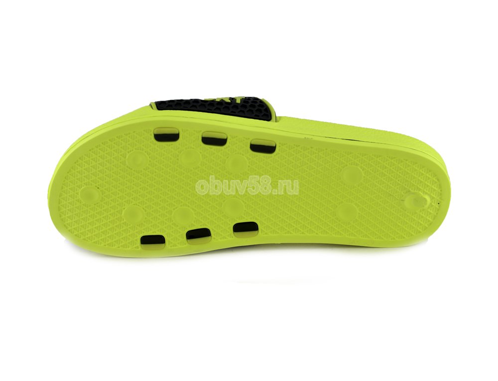 Сланцы