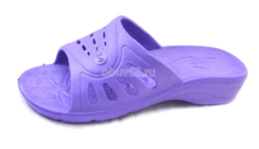 Сланцы