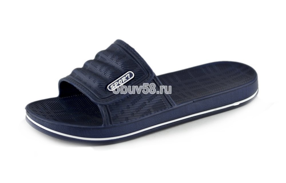 Сланцы