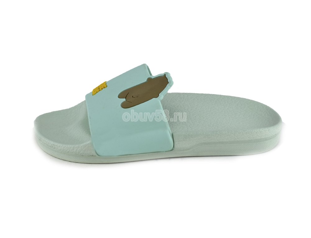 Сланцы
