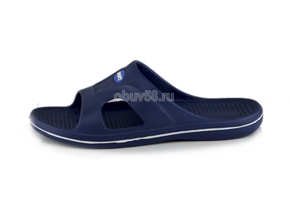 Сланцы