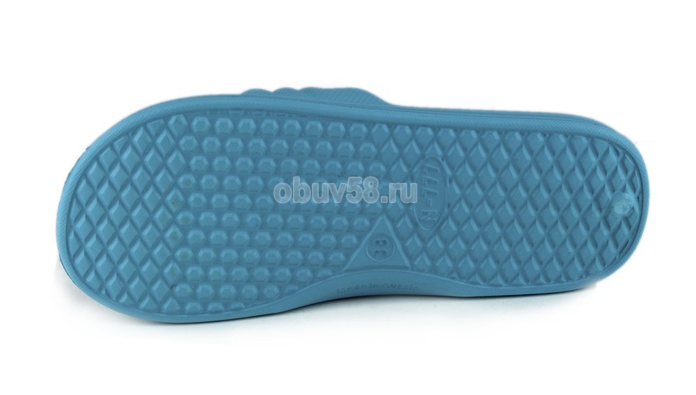 Сланцы