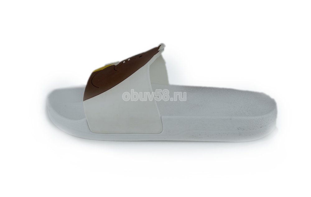 Сланцы