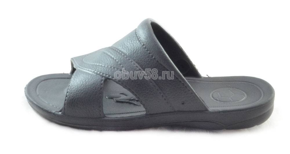 Сланцы