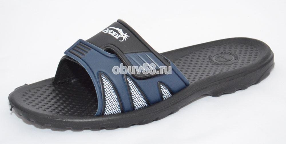 Сланцы