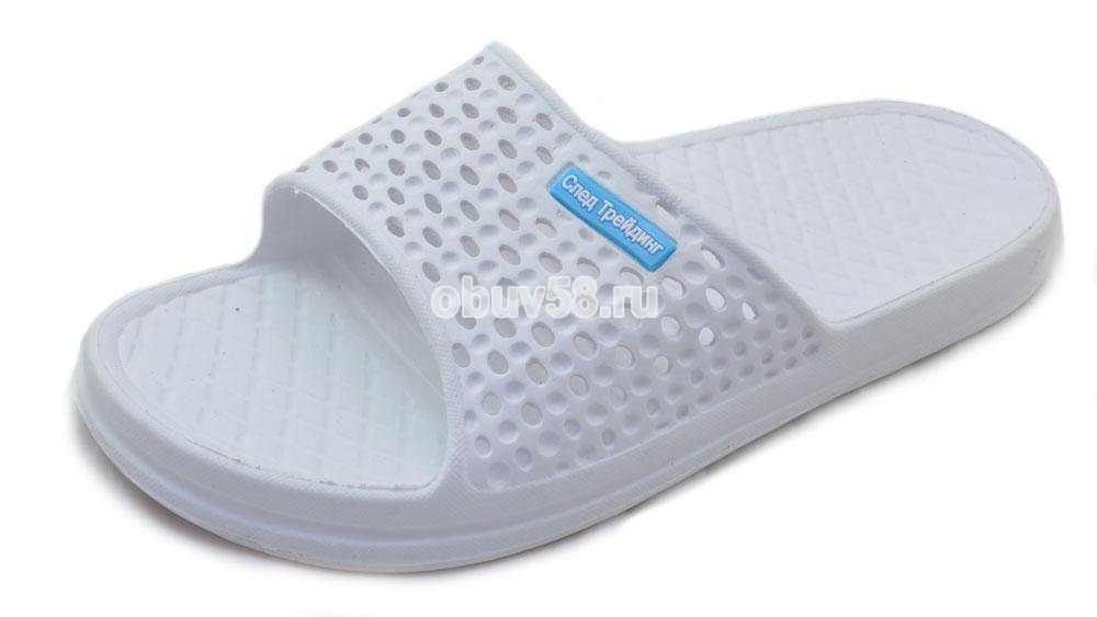 Сланцы