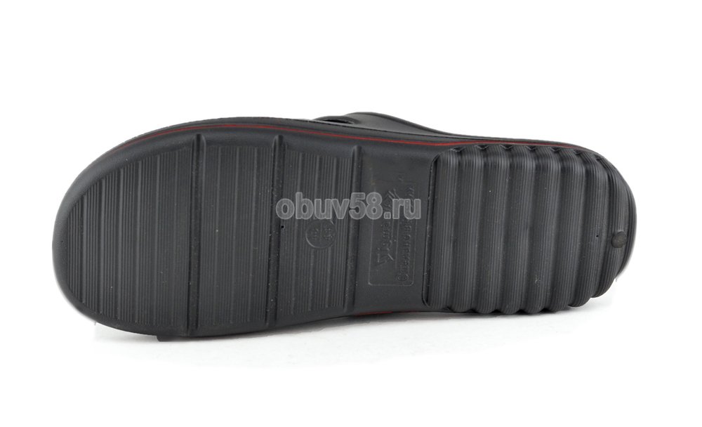 Сланцы