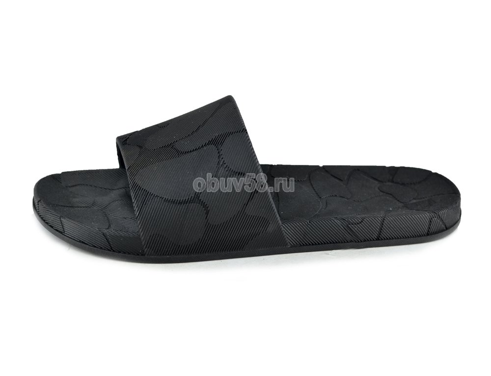 Сланцы