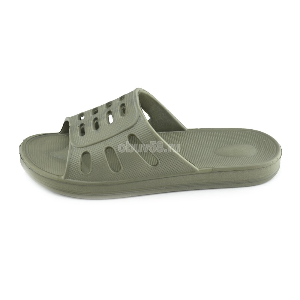 Сланцы
