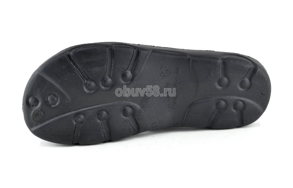 Сланцы