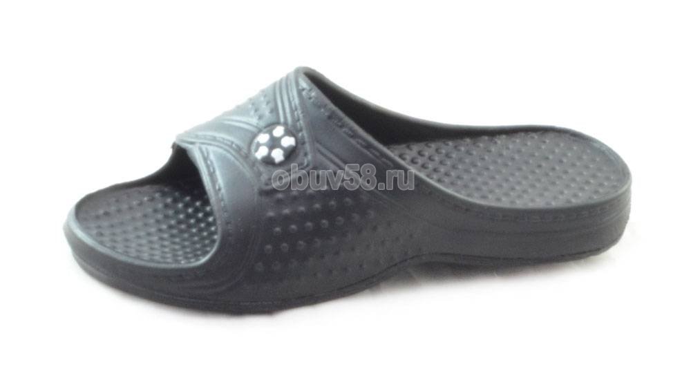 Сланцы