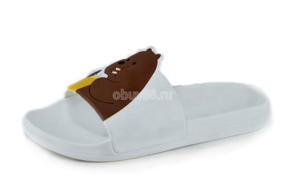Сланцы