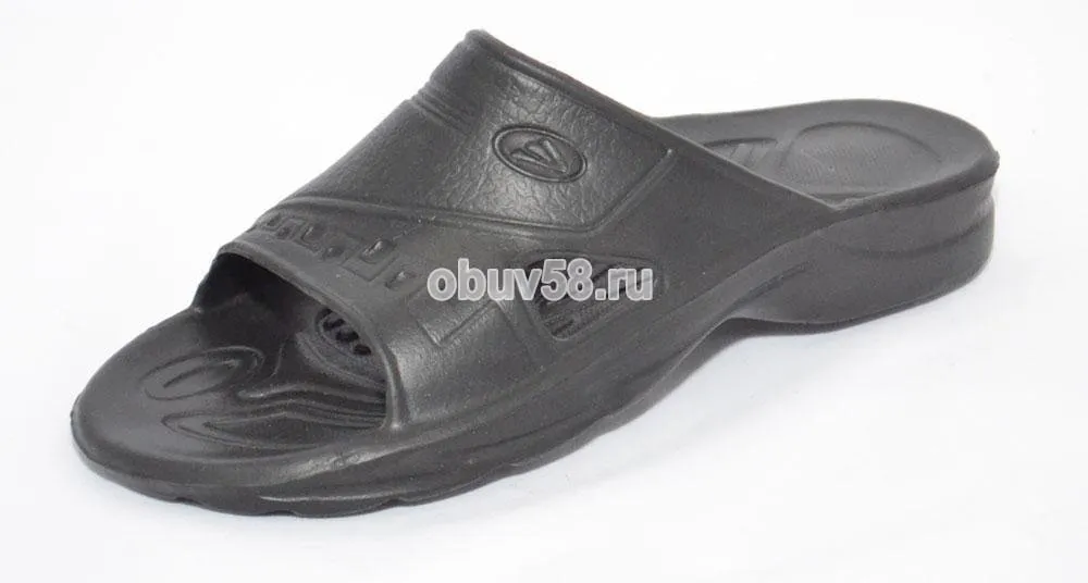 Сланцы