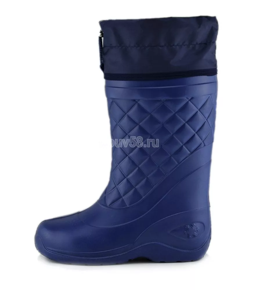 Сапоги