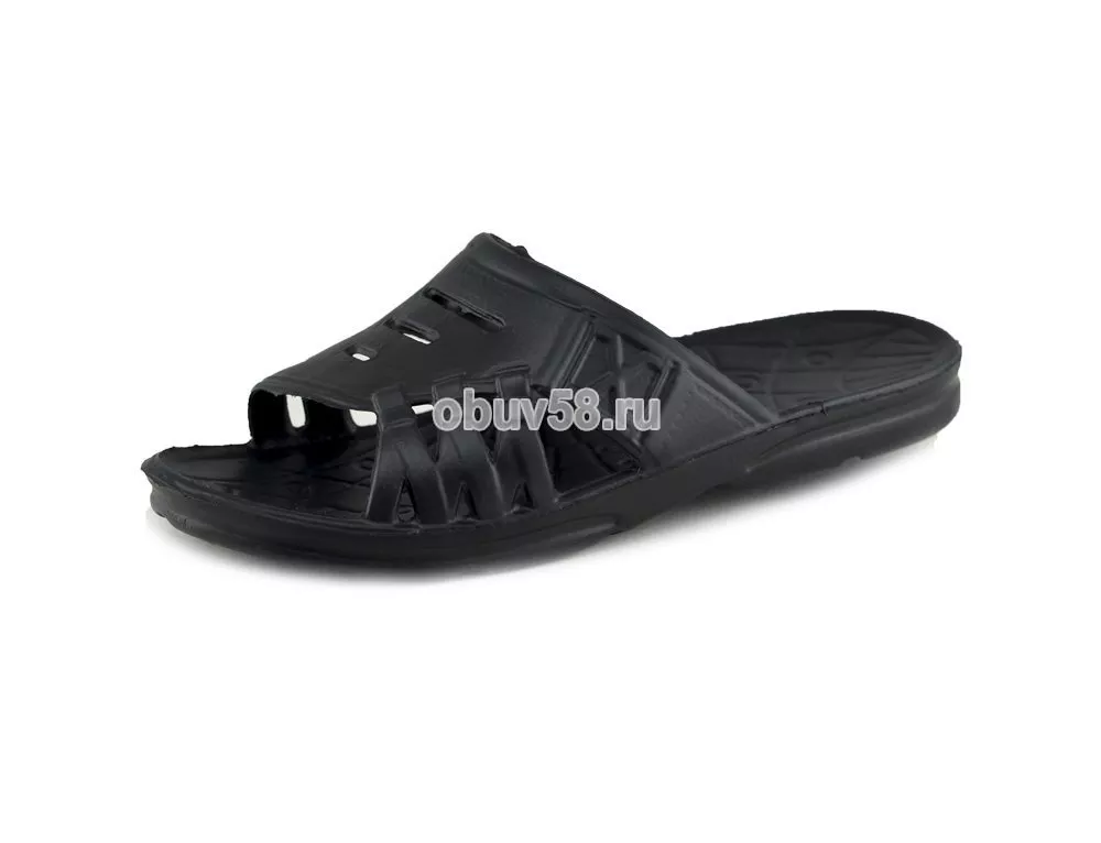 Сланцы