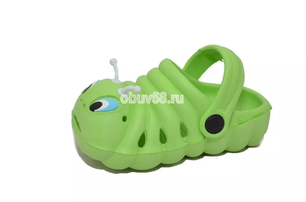 Сланцы