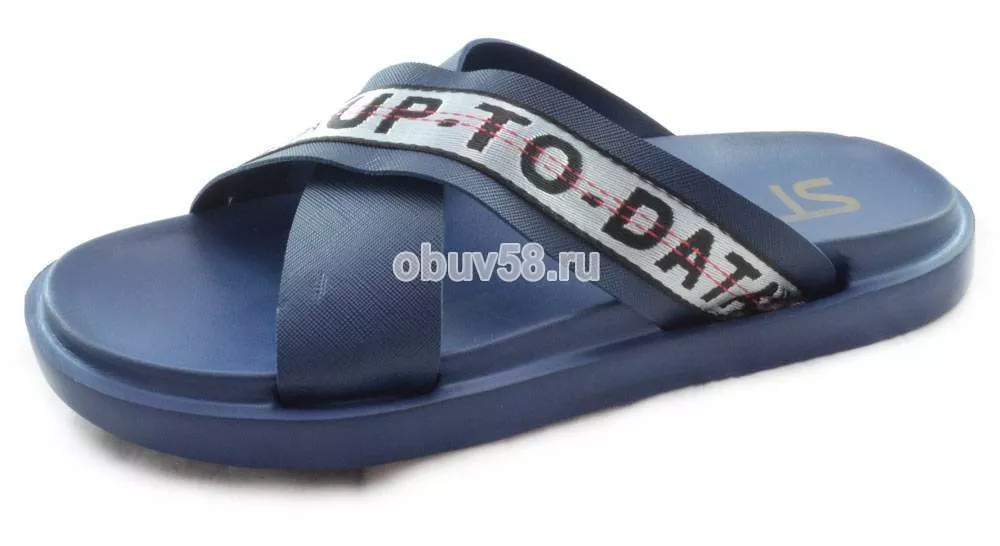 Сланцы
