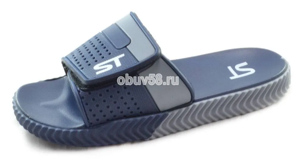 Сланцы