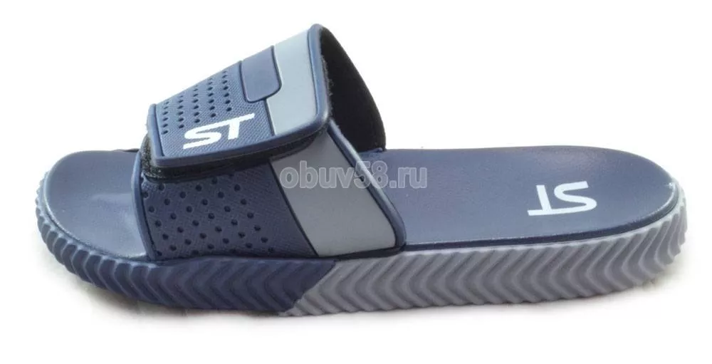 Сланцы